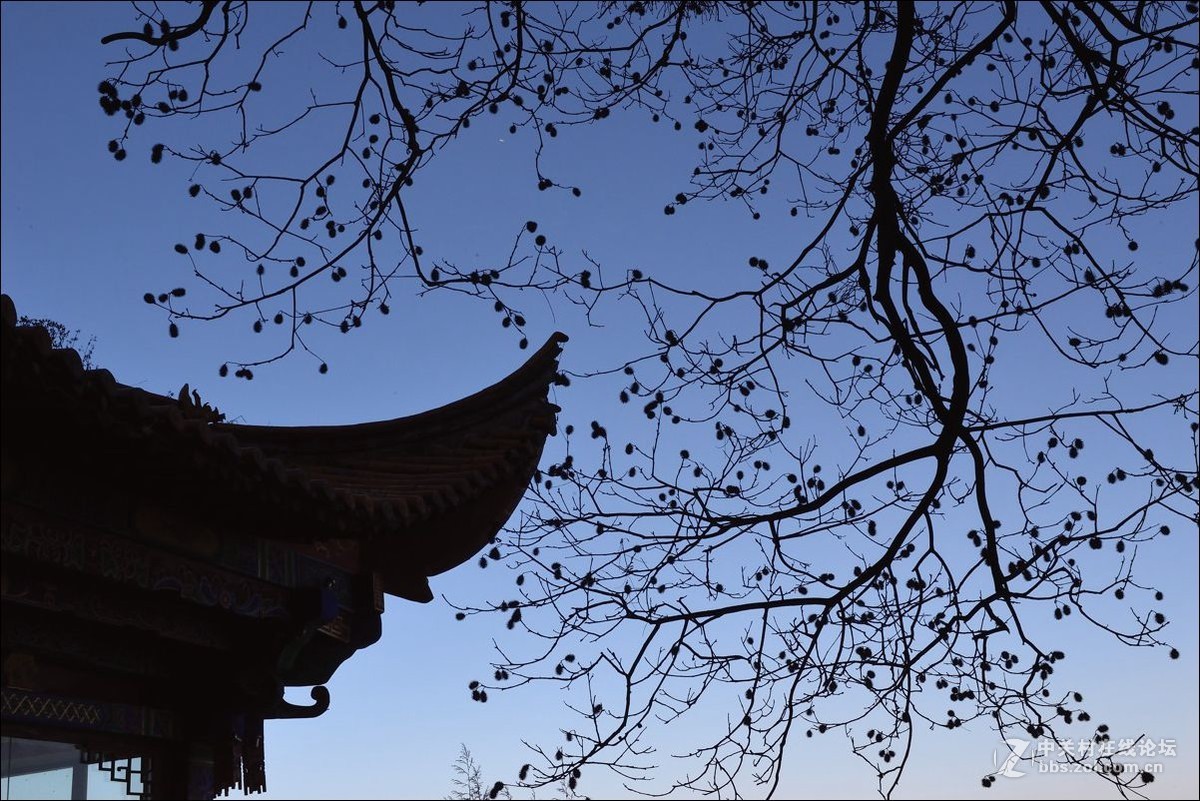 休闲随拍（344）