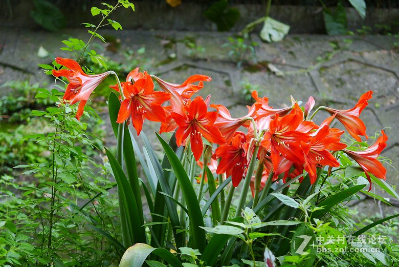 我买了个25mmf1.4的定焦头！昨天发试拍照片显示不了图像！今天重发！