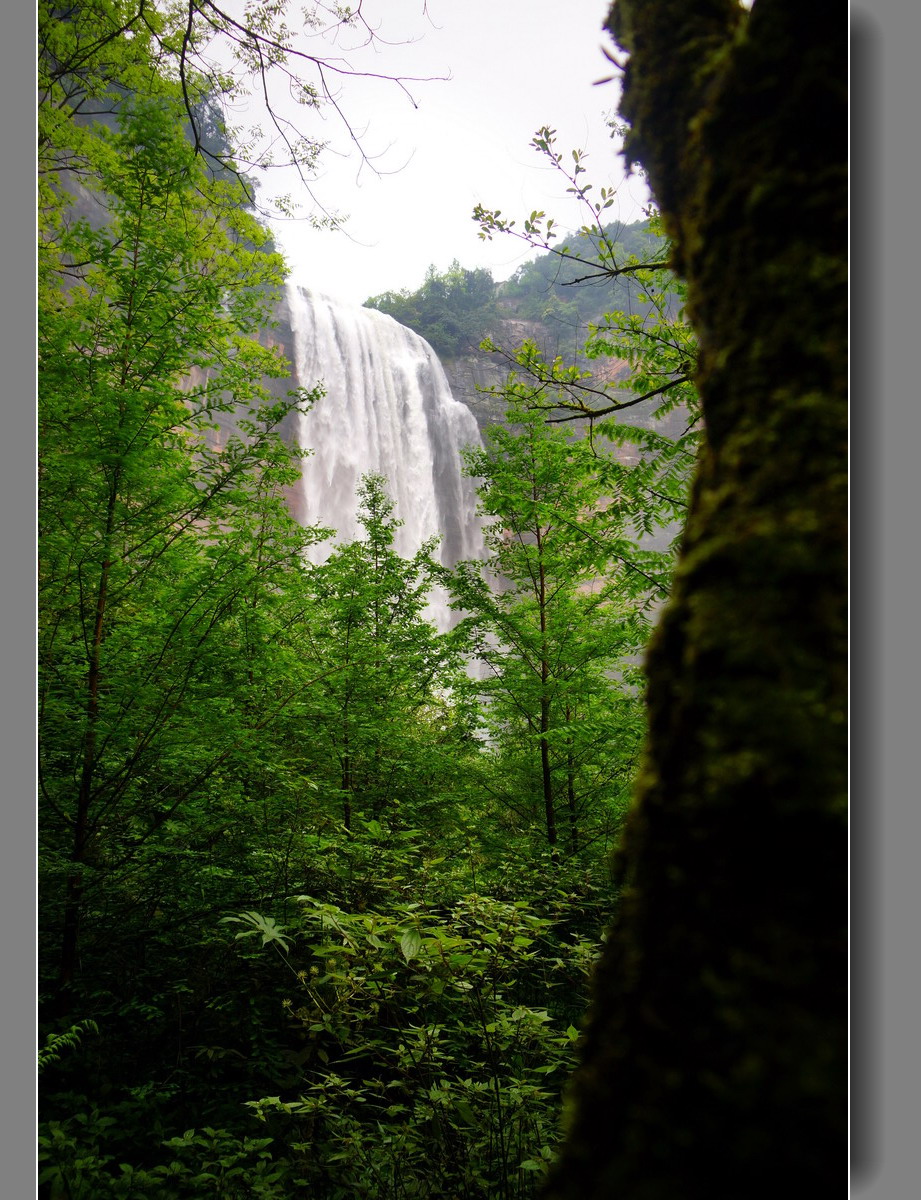 四面山望乡台瀑布——11P