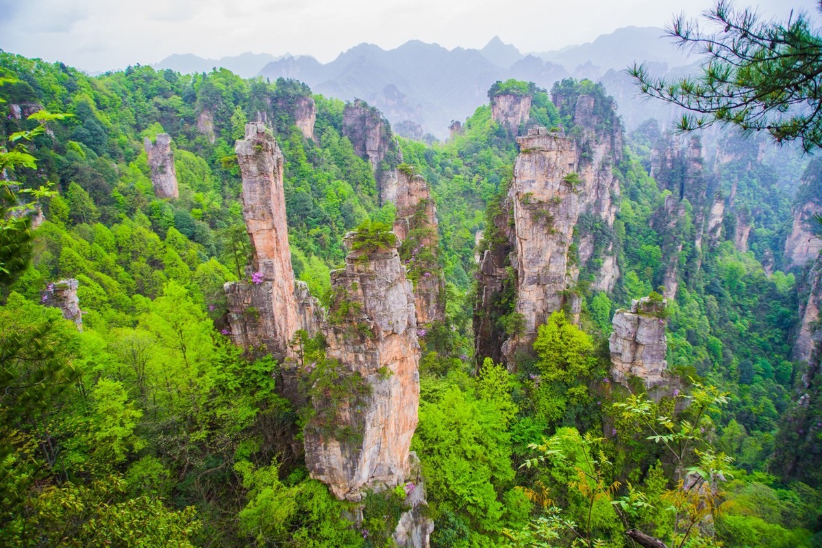 张家界武陵源天子山索道到贺龙公园