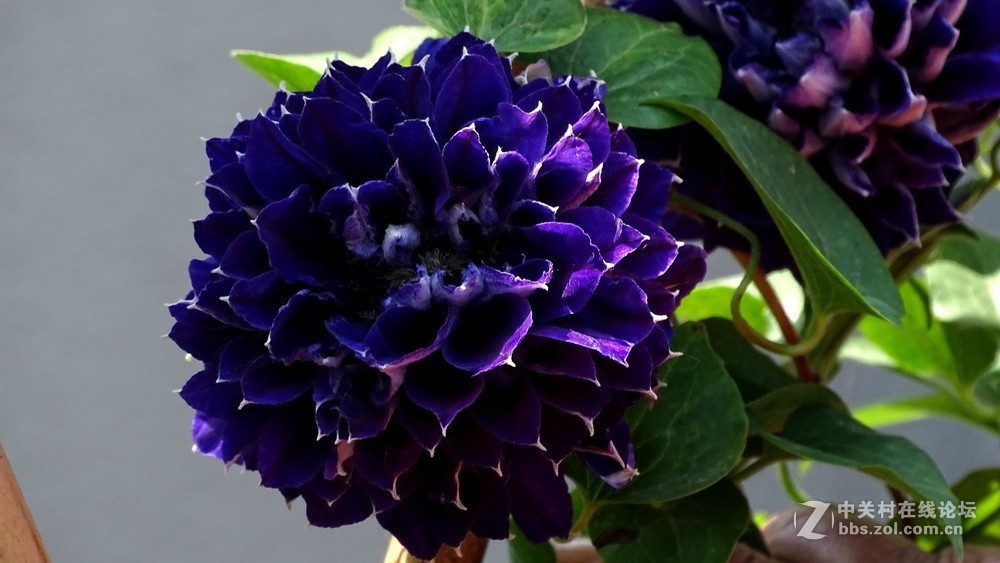 扬州瘦西湖新景