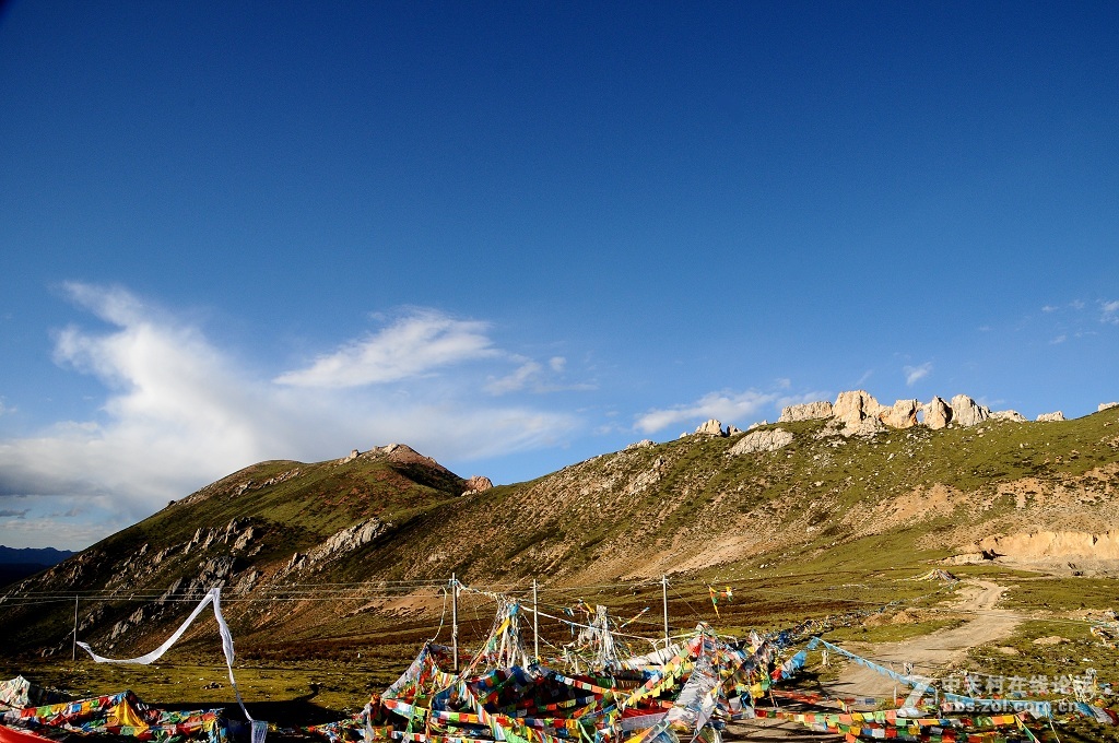 也拉山口风景 （多图）