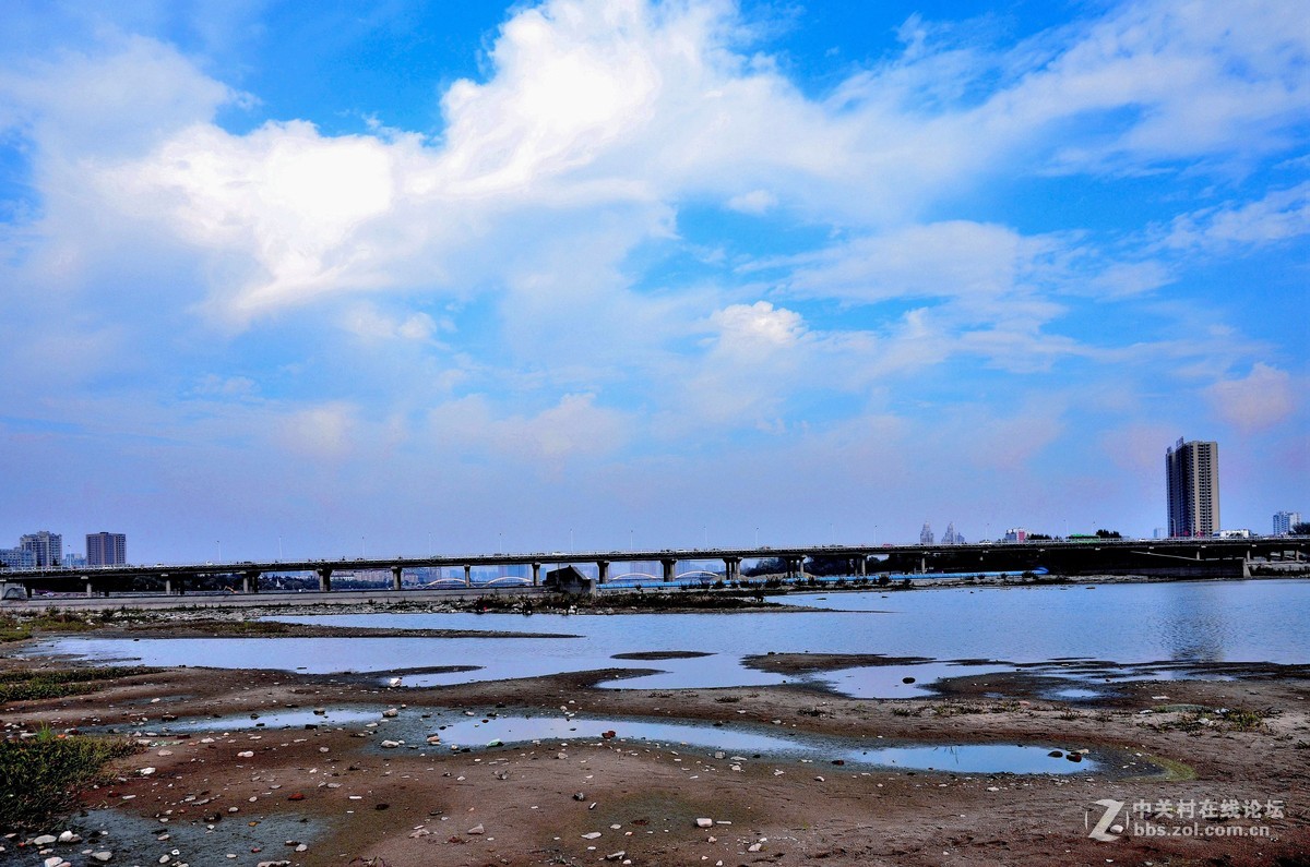 白河湿地随拍