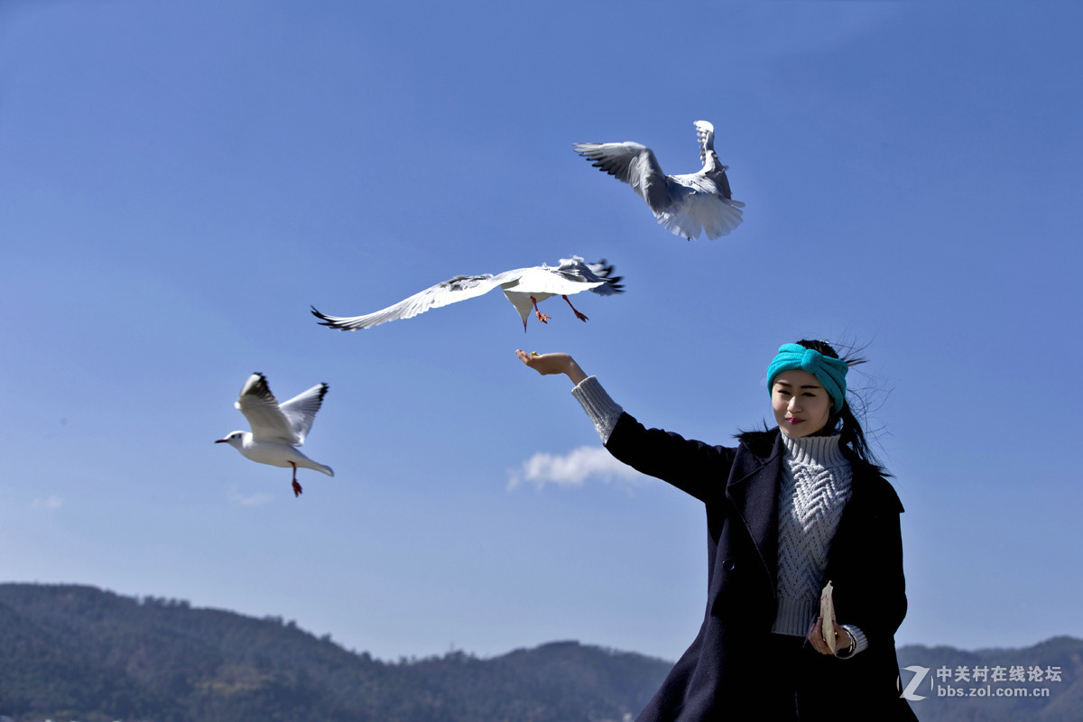 一组＜人与鸥　自然和谐＞贺晚之秋好友荣任佳能5Ds R版主！