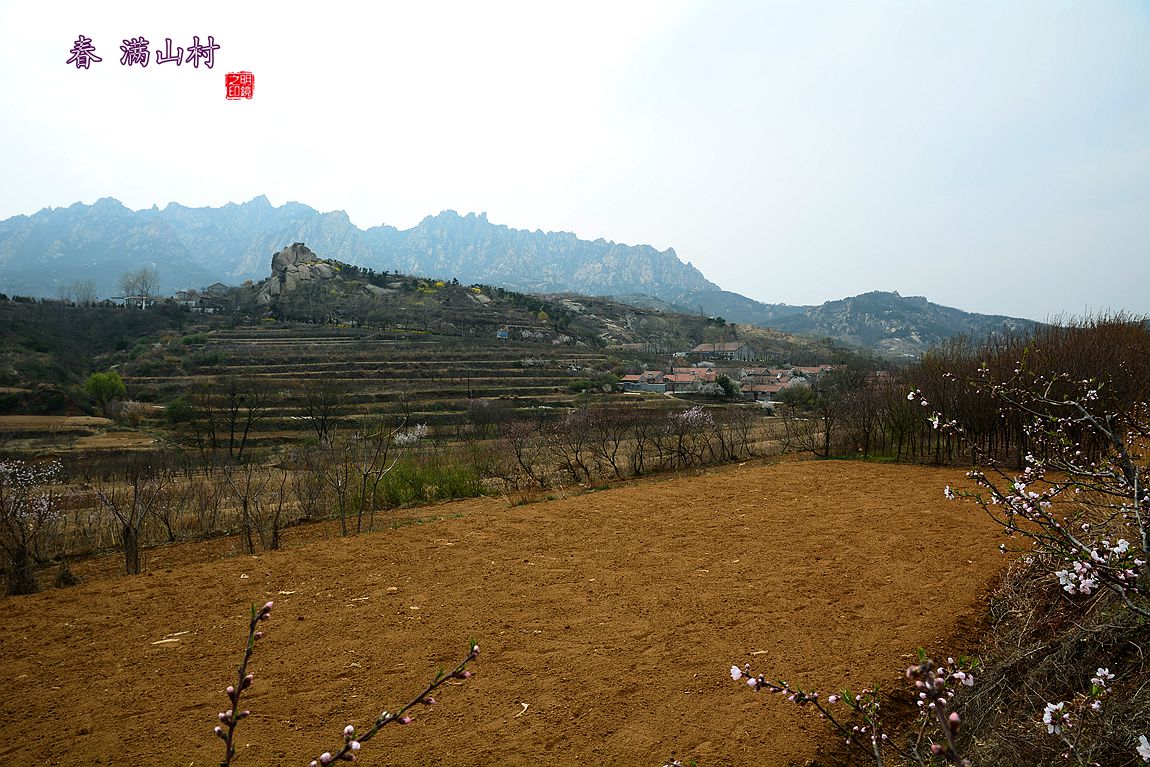 春 满山村。（上篇）
