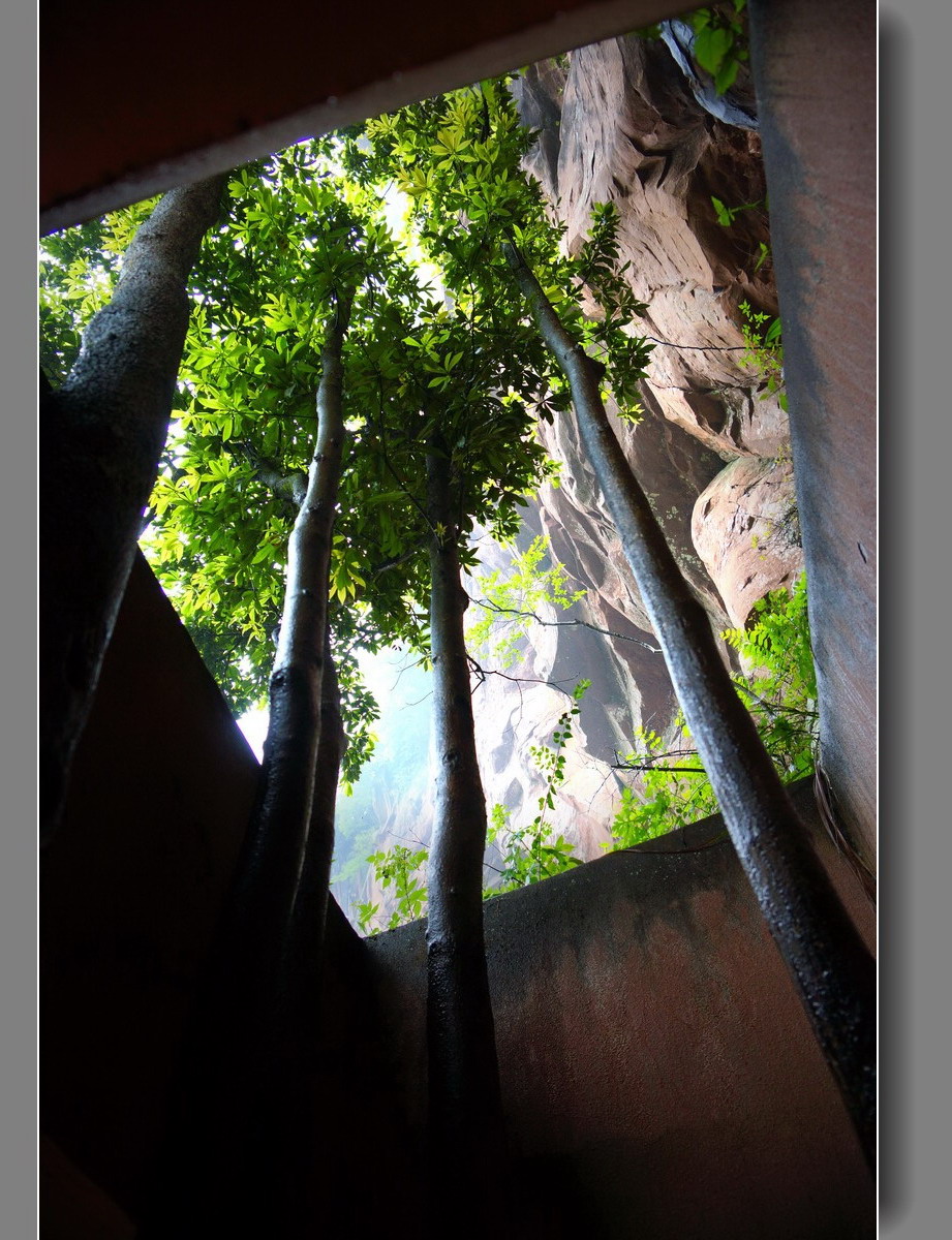 四面山望乡台瀑布——11P