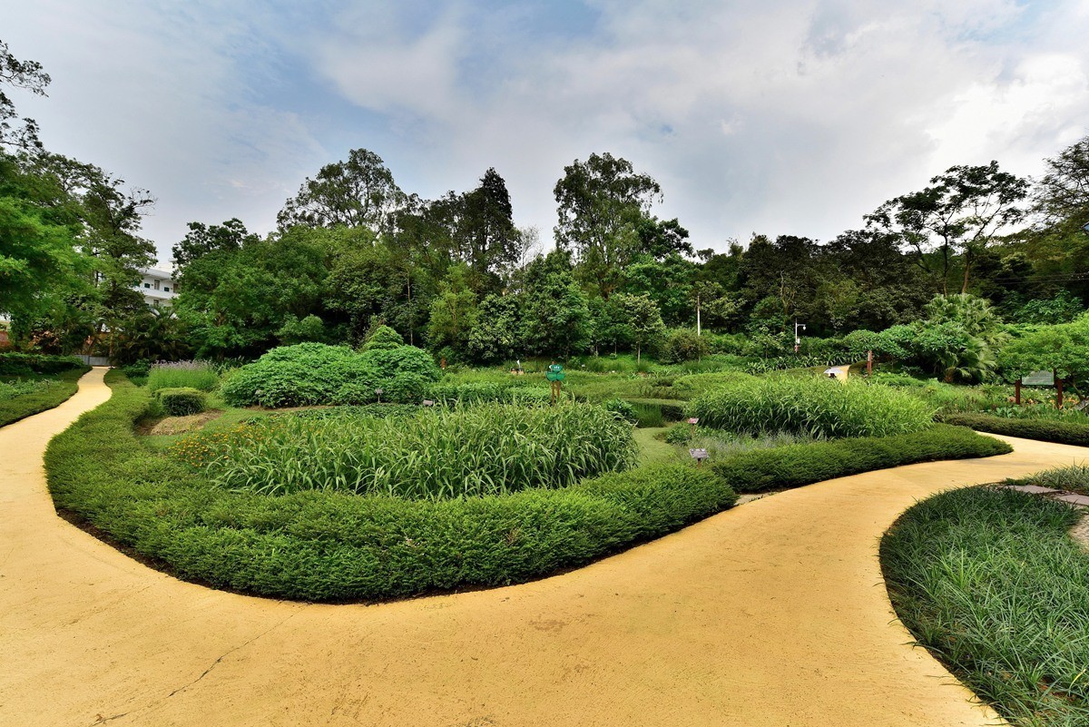 药用植物园里的本草纲目园游拍