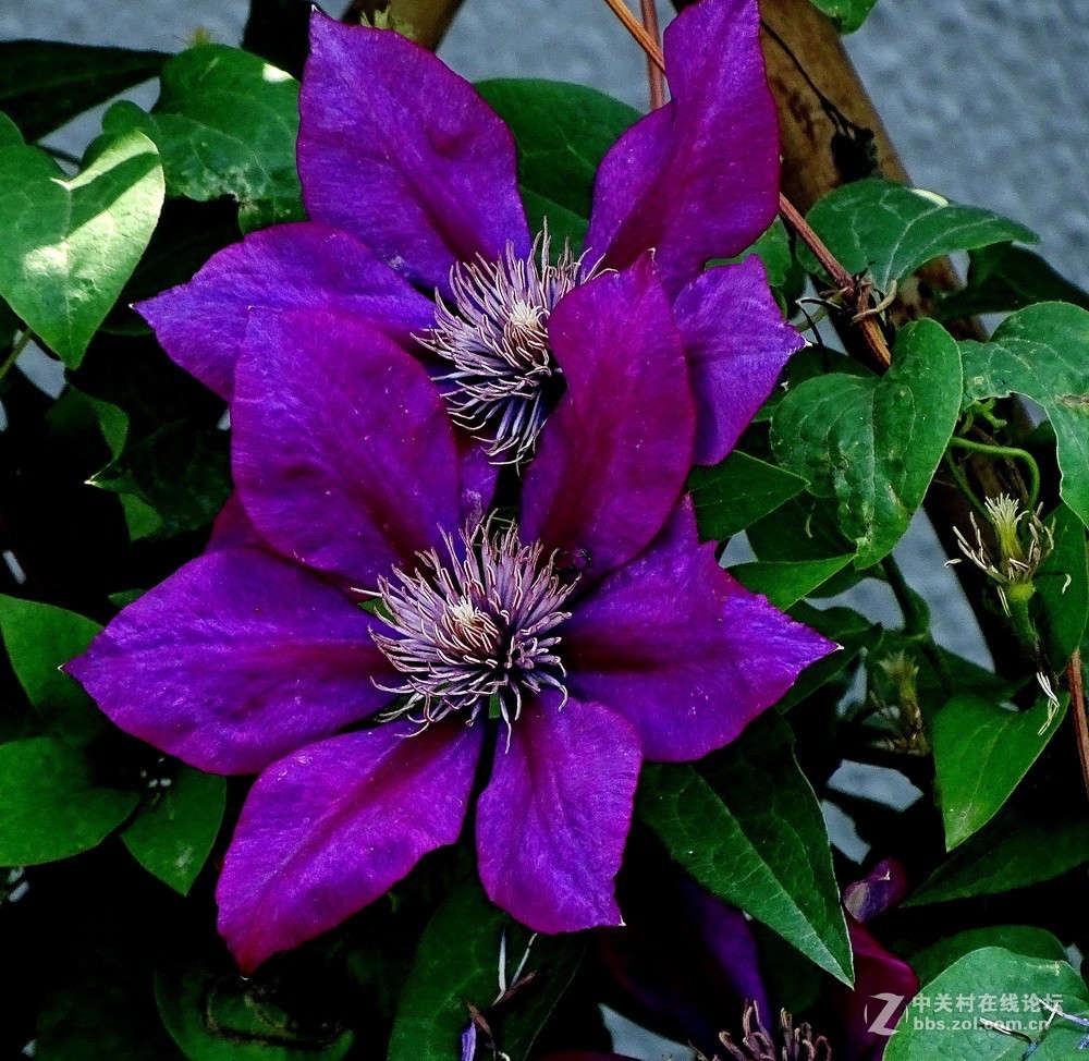 扬州瘦西湖新景