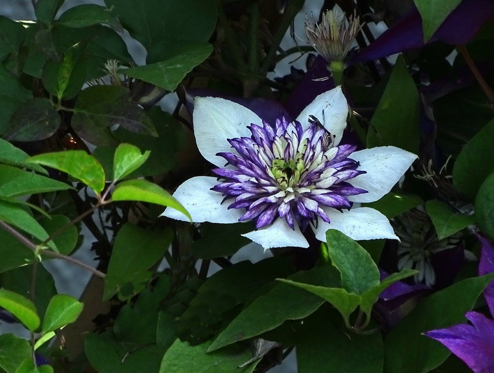 扬州瘦西湖新景