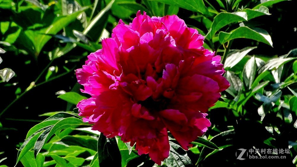 扬州瘦西湖新景