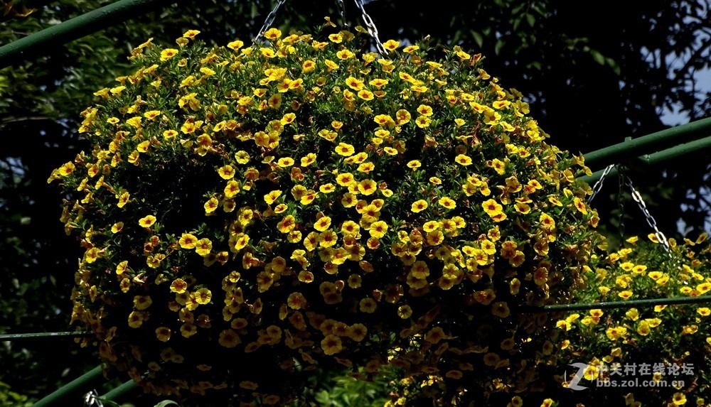 扬州瘦西湖新景