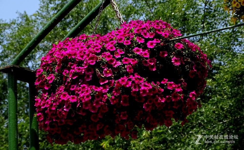 扬州瘦西湖新景