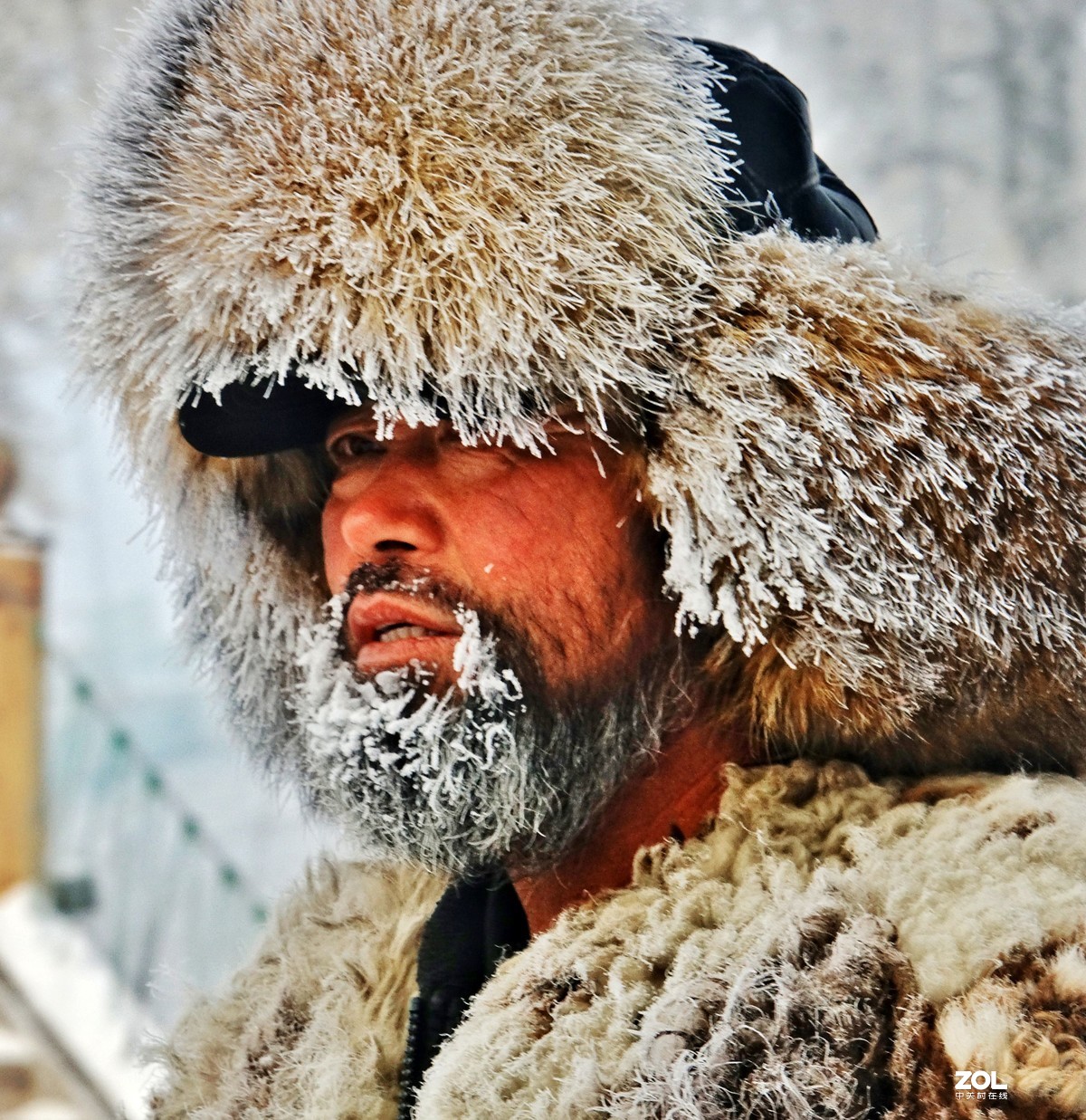 #回顾2019#马夫与马