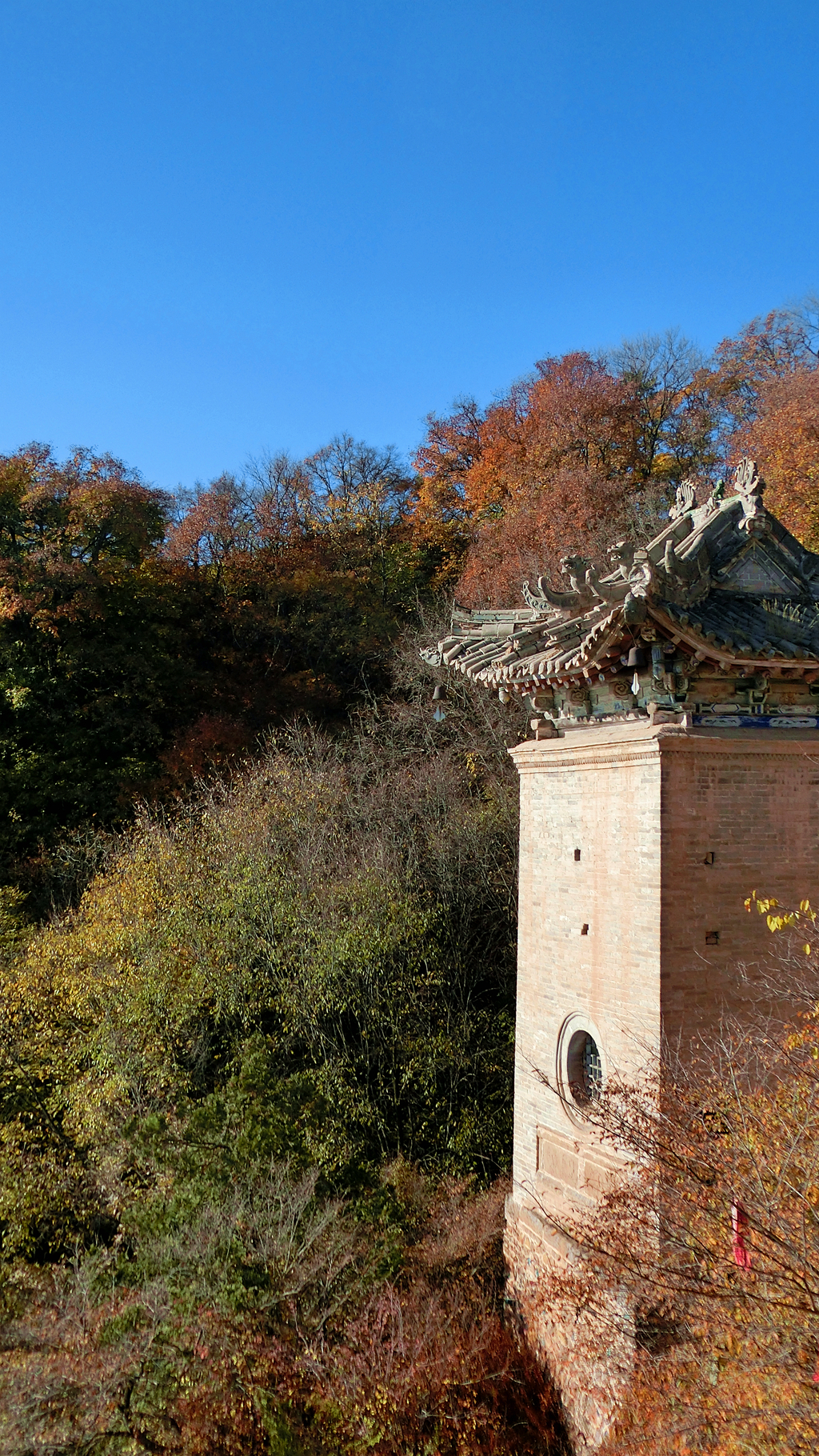 秋意正浓人正欢（五）