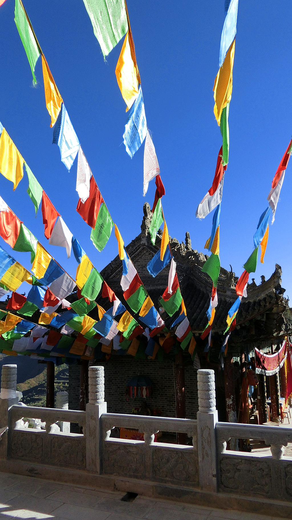 秋意正浓人正欢（五）