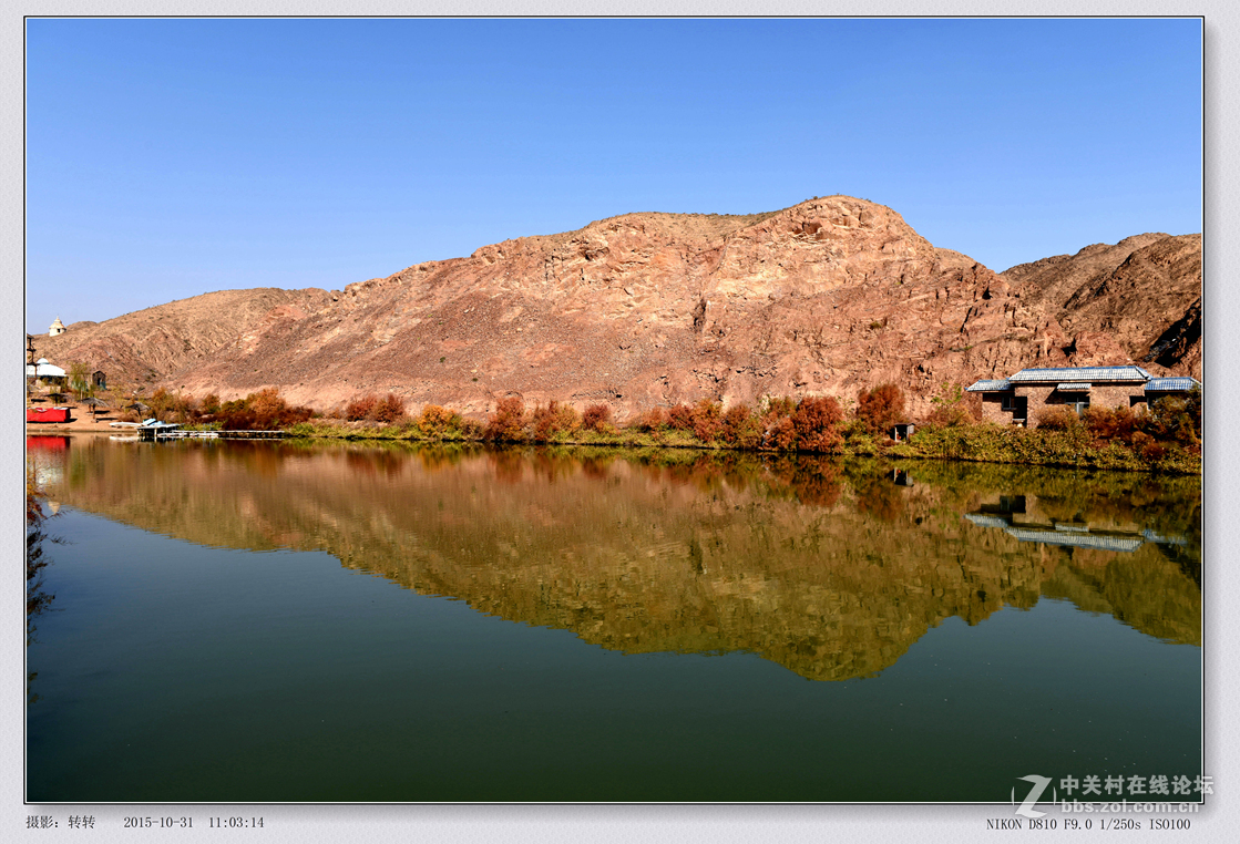 景泰县水沟湿地公园图片