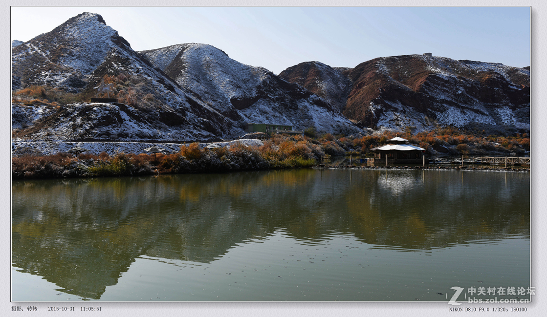 景泰县水沟湿地公园图片