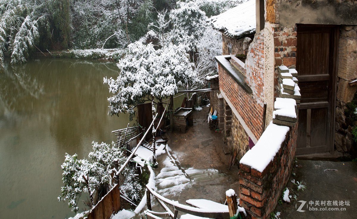 重庆难得雪景四——拜年帖