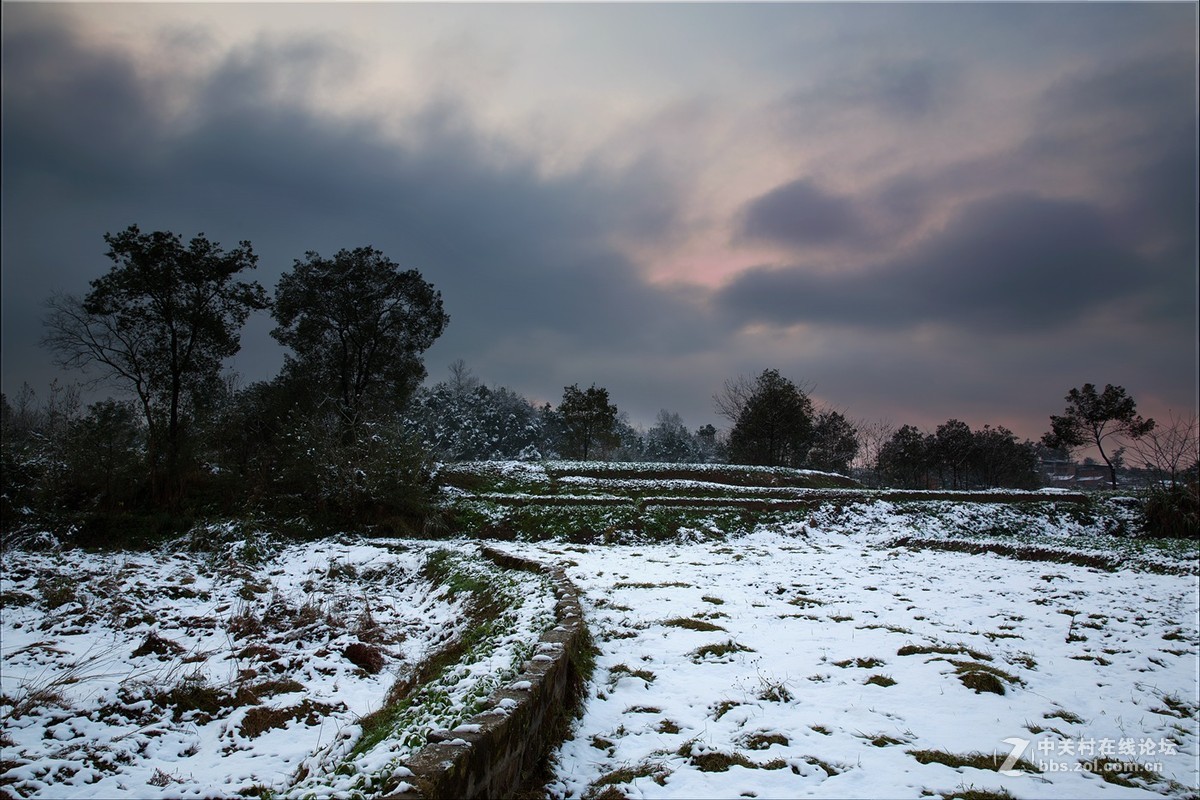 重庆难得雪景四——拜年帖