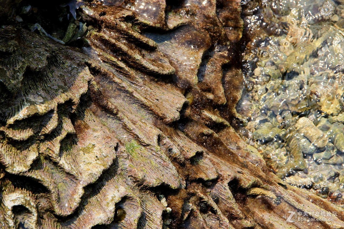 海边行，纯属纪念帖。