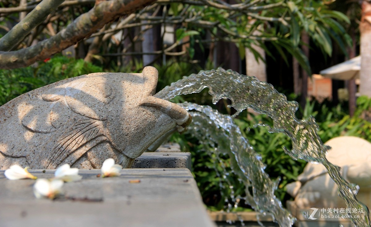 海边行，纯属纪念帖。