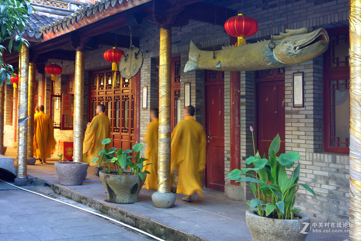 千年古刹宁波宝庆寺