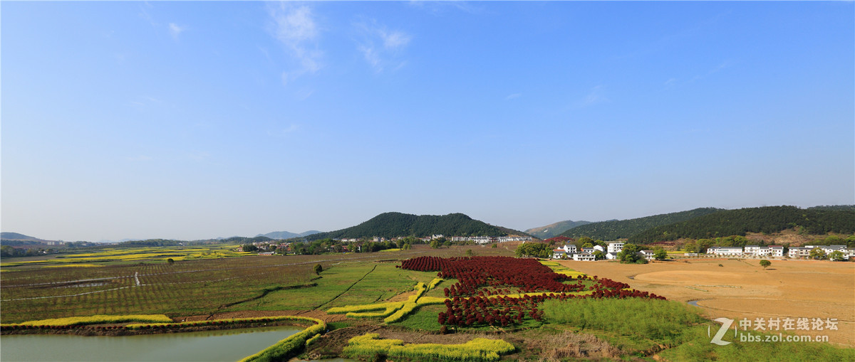 蕲州龙泉花海图片