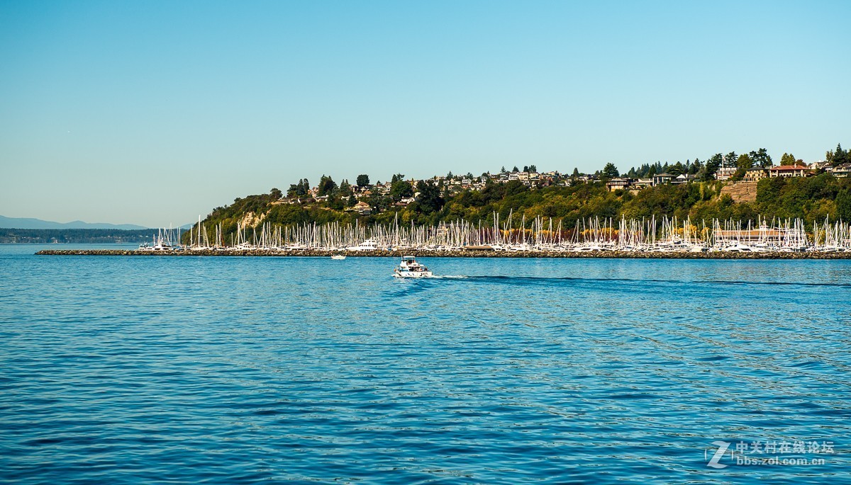阿拉斯加路码头游轮观景