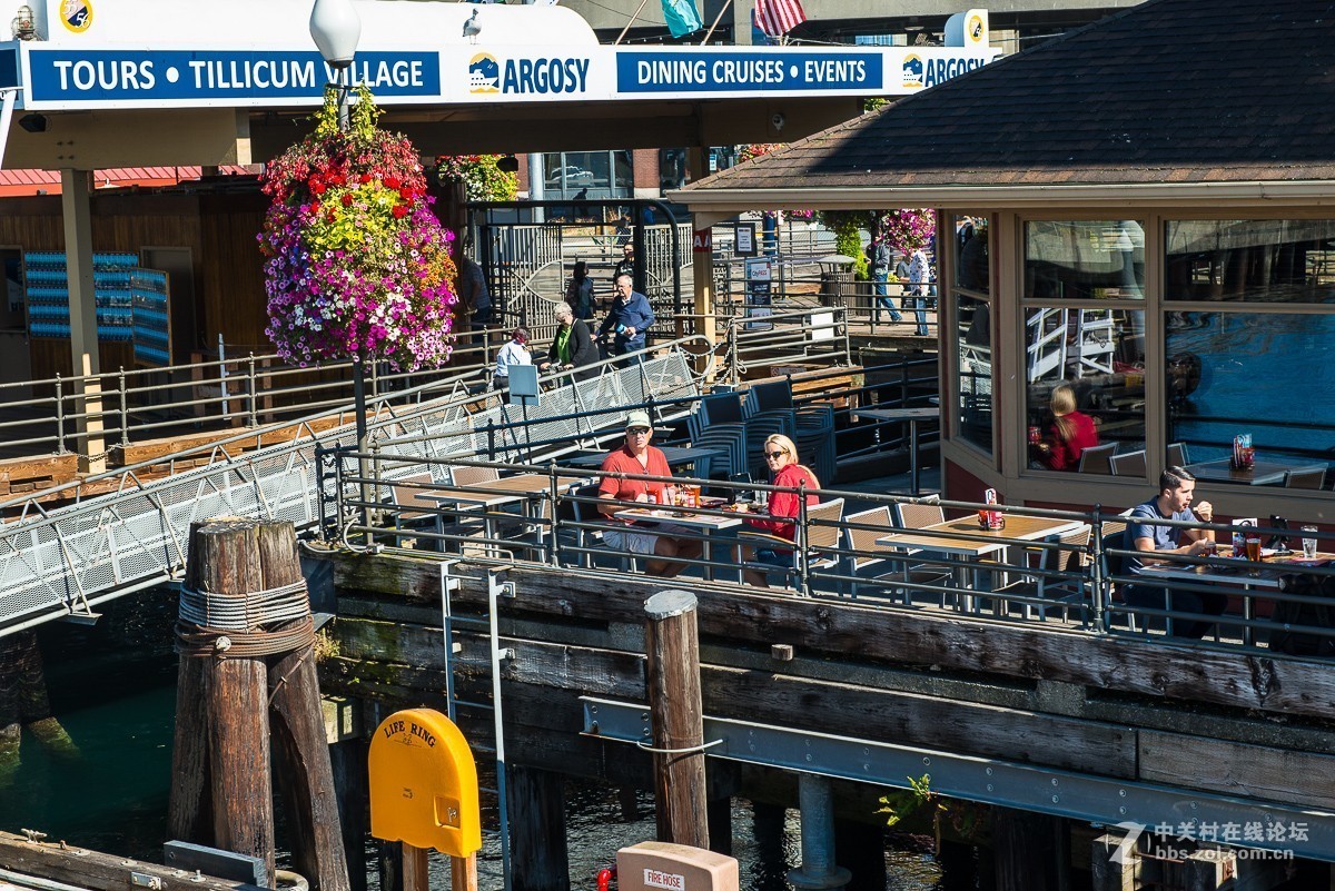 阿拉斯加路码头游轮观景