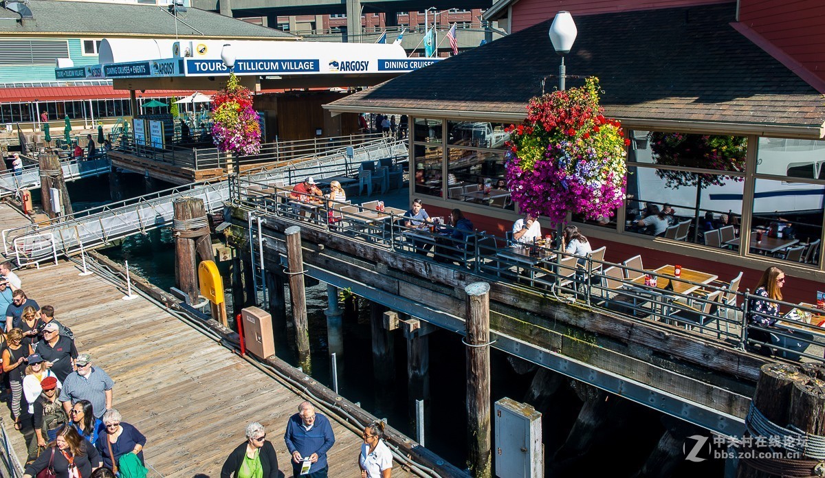 阿拉斯加路码头游轮观景