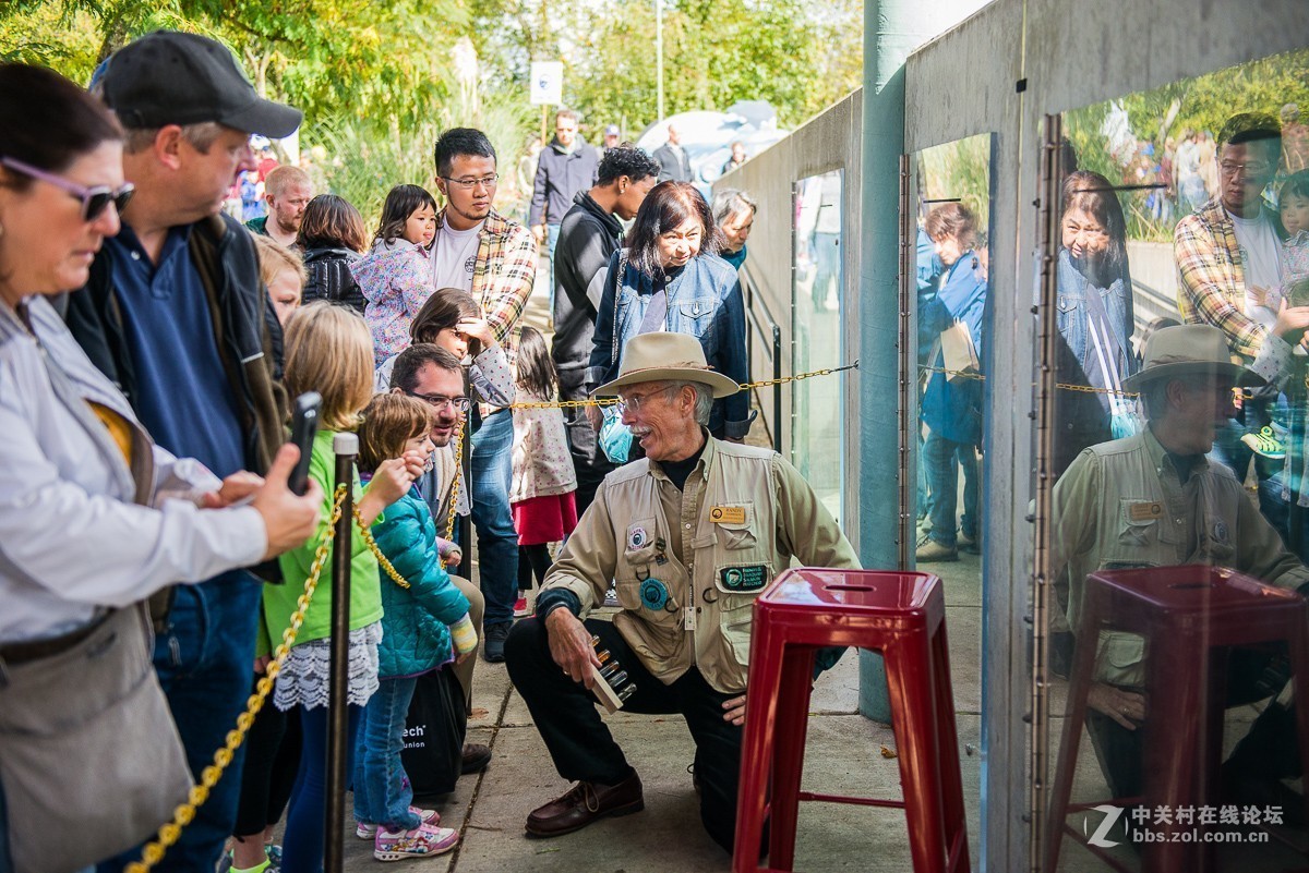 华盛顿州三文鱼节