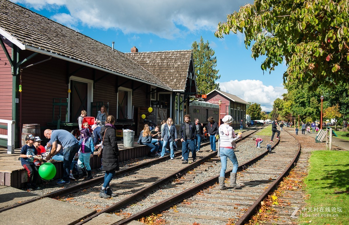 华盛顿州三文鱼节