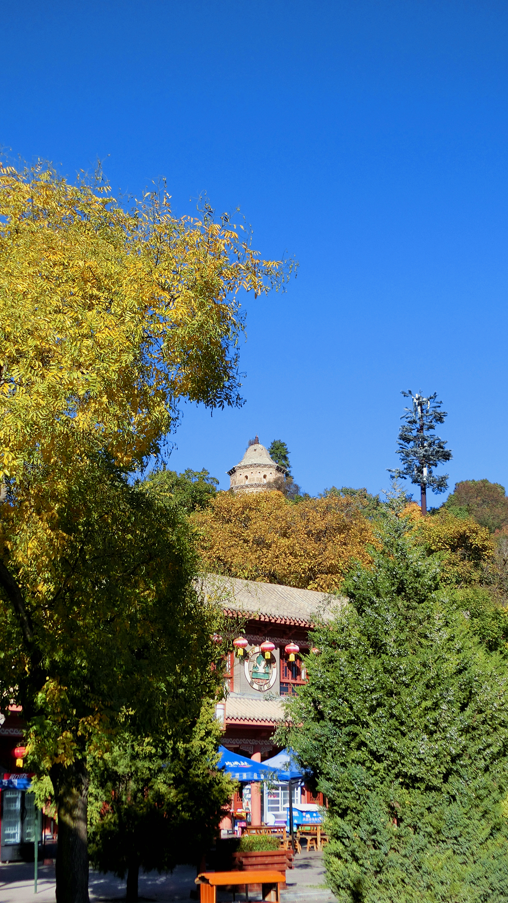 秋意正浓人正欢（五）