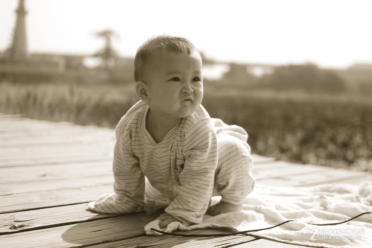 永诺35mm镜头再上大片，国产镜头很给力