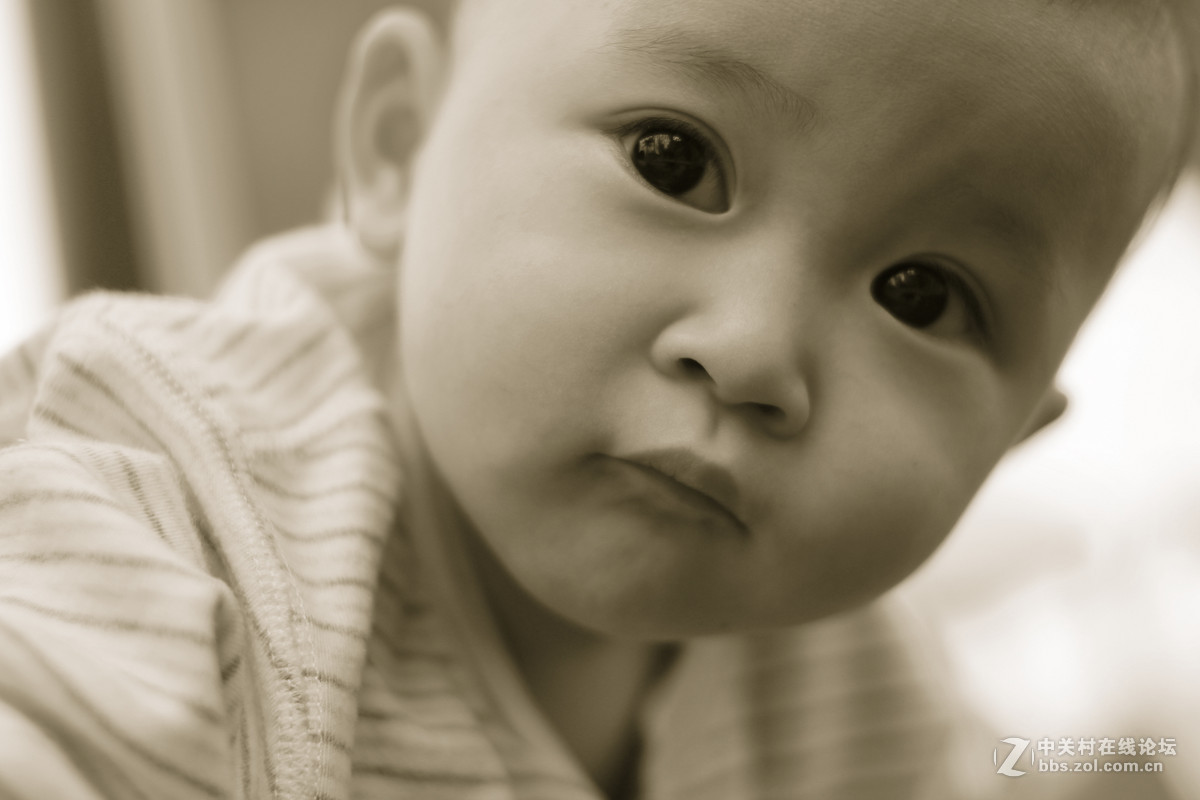 永诺35mm镜头再上大片，国产镜头很给力