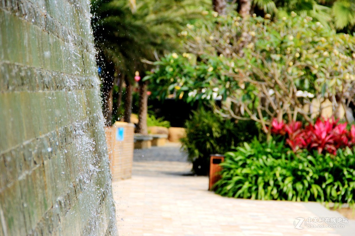 海边行，纯属纪念帖。