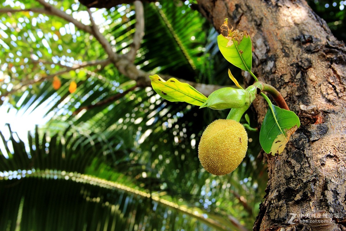 海边行，纯属纪念帖。