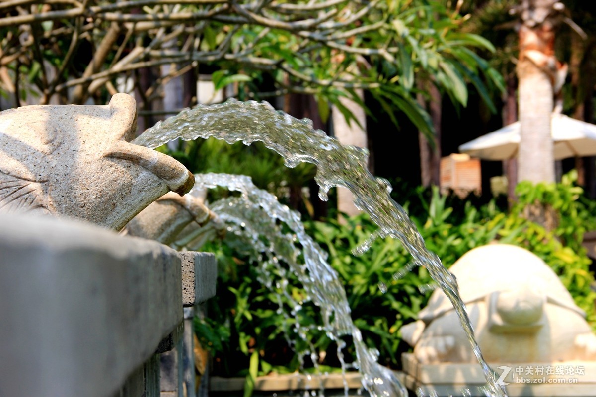 海边行，纯属纪念帖。