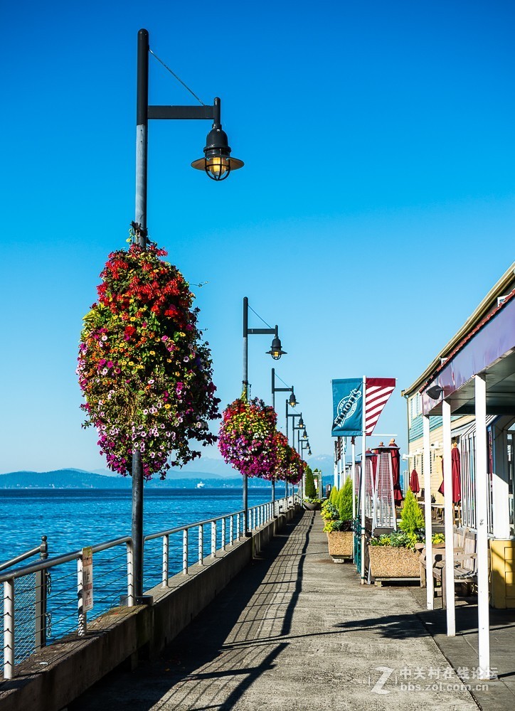 阿拉斯加路码头游轮观景