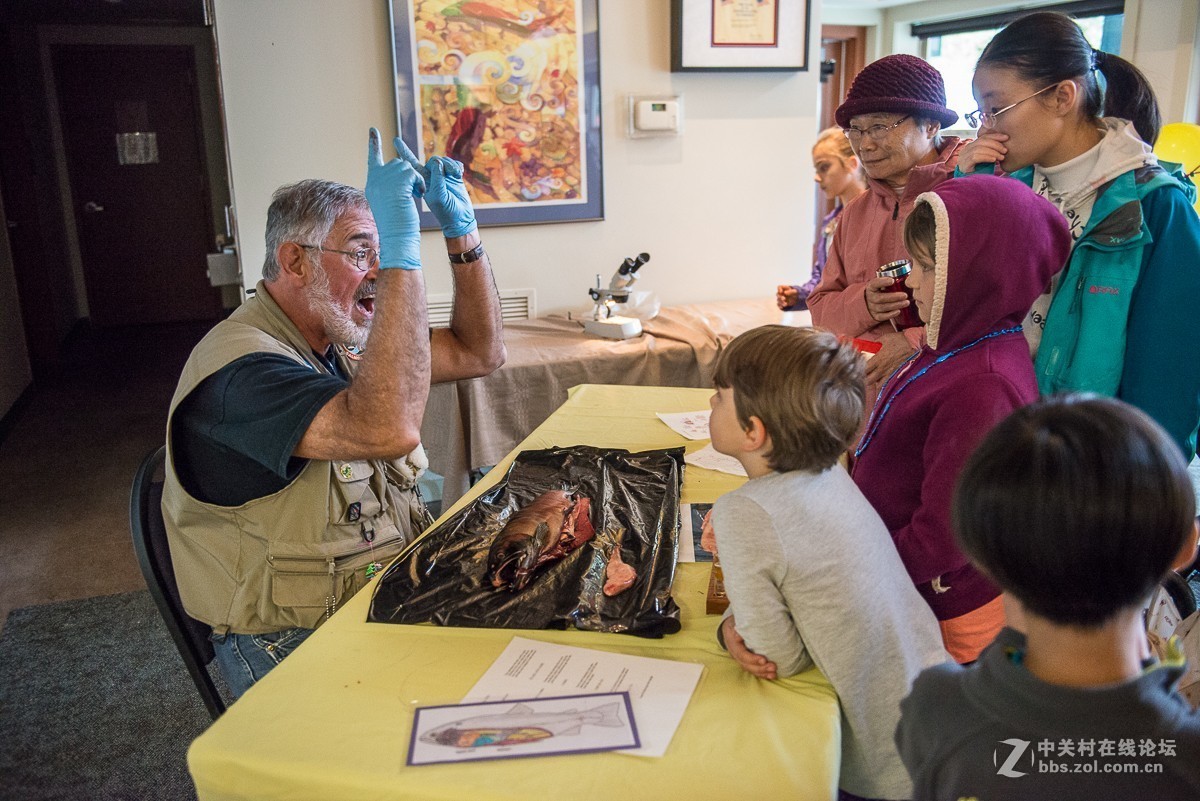 华盛顿州三文鱼节