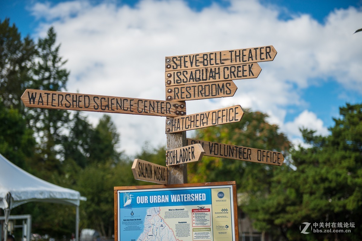 华盛顿州三文鱼节