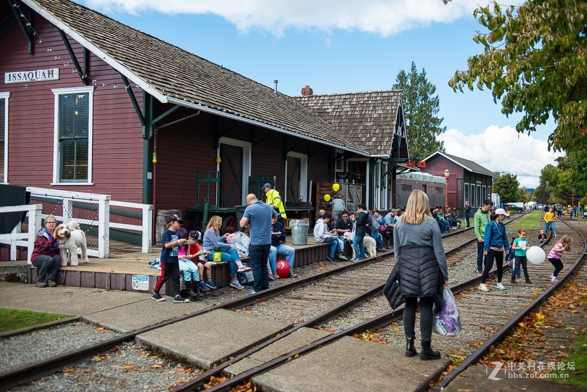 华盛顿州三文鱼节