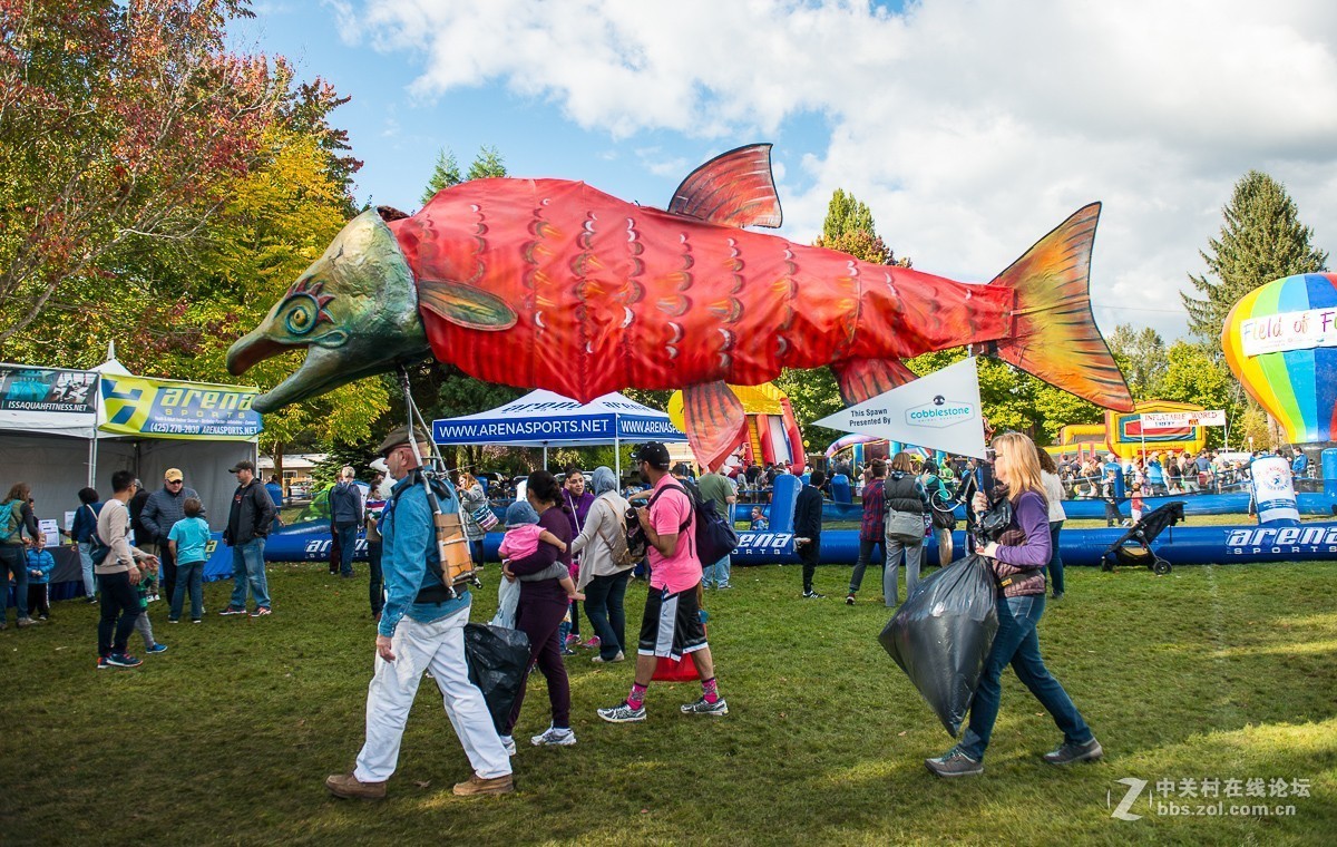 华盛顿州三文鱼节