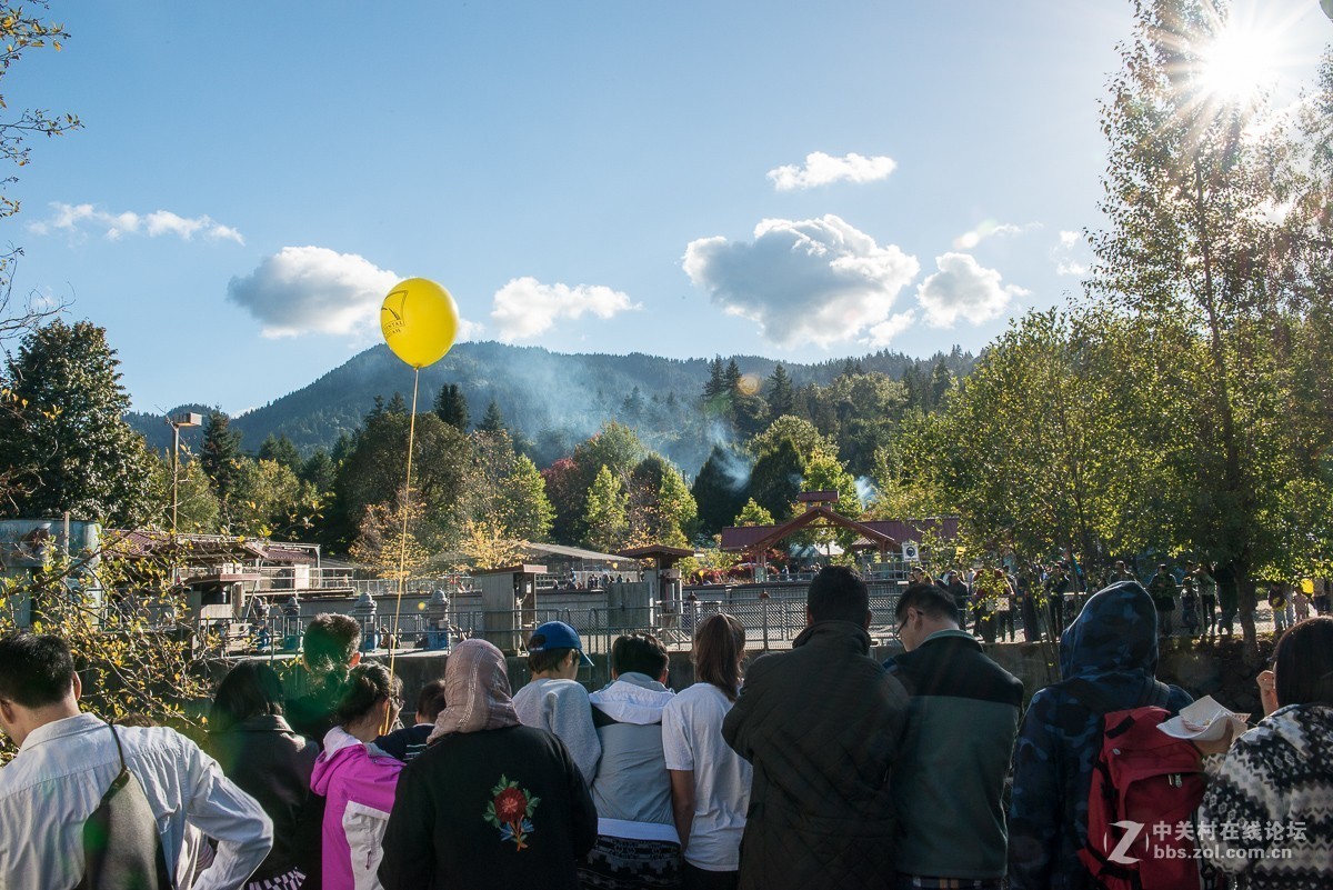 华盛顿州三文鱼节
