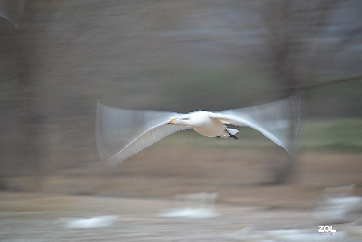 #版主坐堂# 尼康镜头星空(中国)2019年12月部分优秀作品欣赏