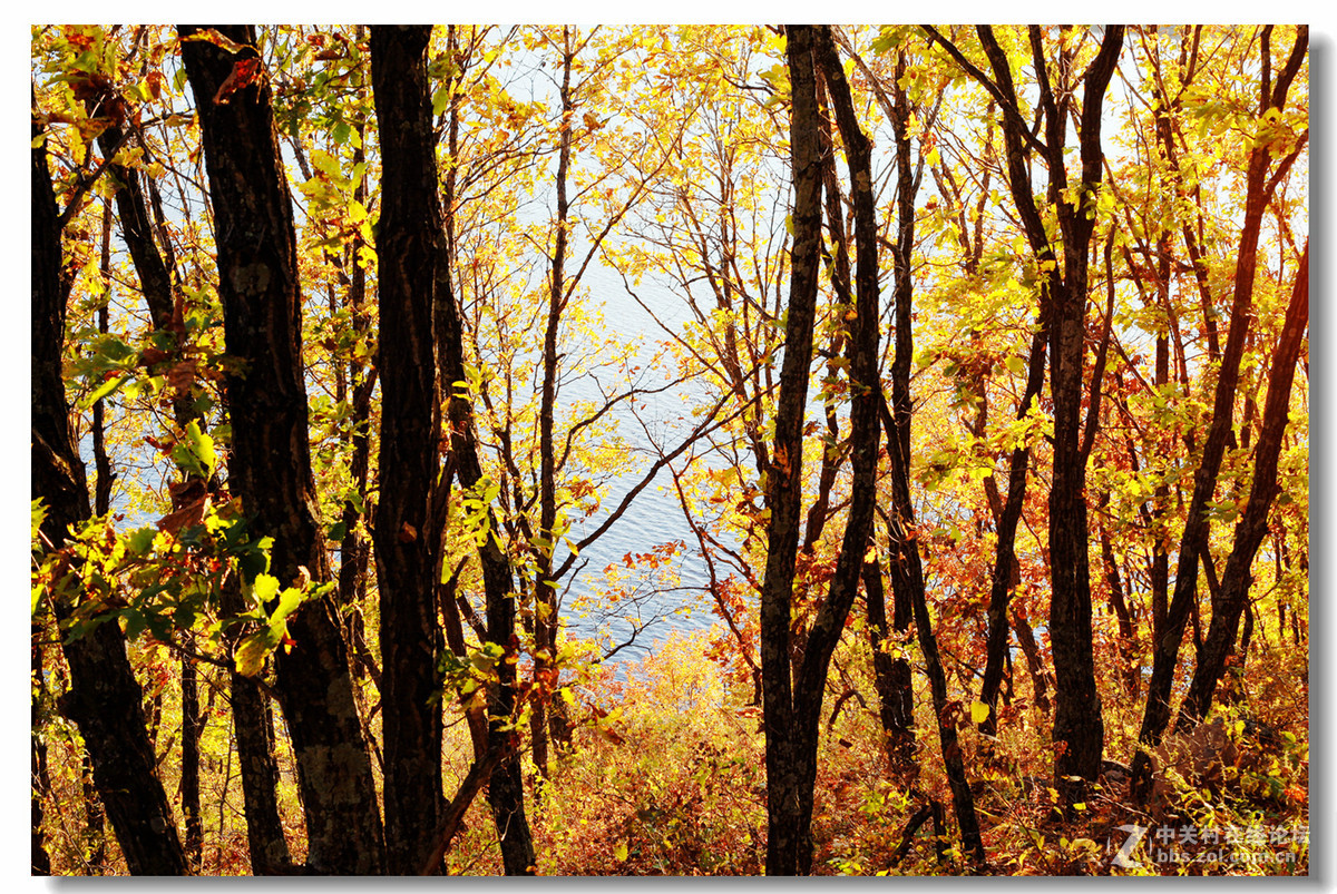 绥芬河天长山水库秋色！
