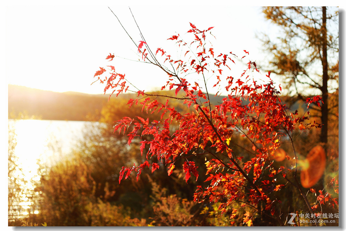 绥芬河天长山水库秋色！