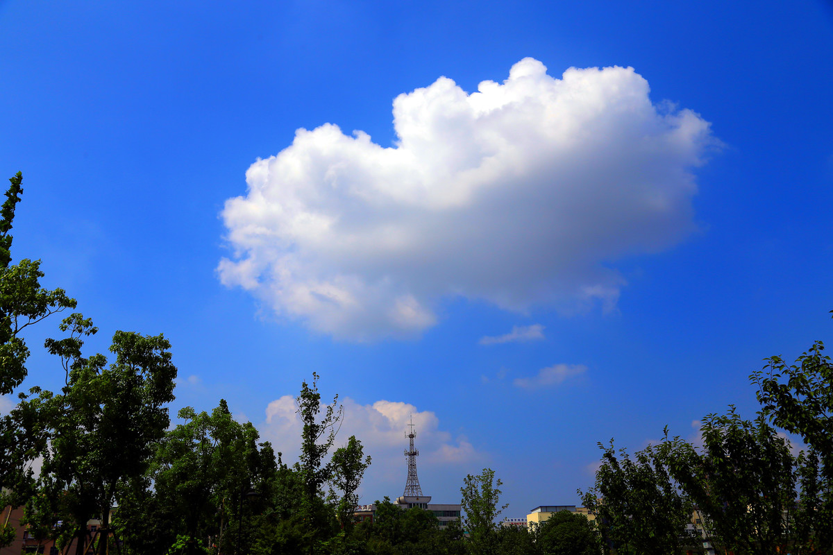 狂下了十几天后，终于......