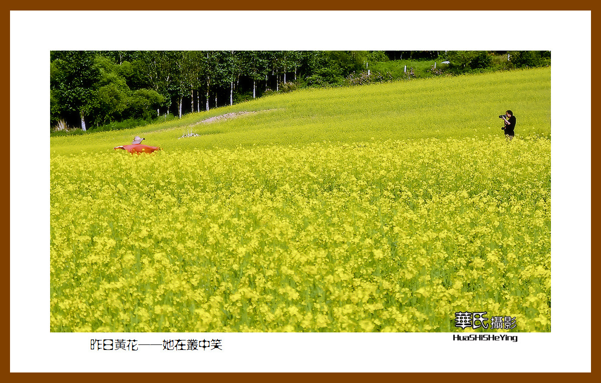 美色辽宁——昨日黄花，她在丛中笑之四（辽阳弓长岭汤河）
