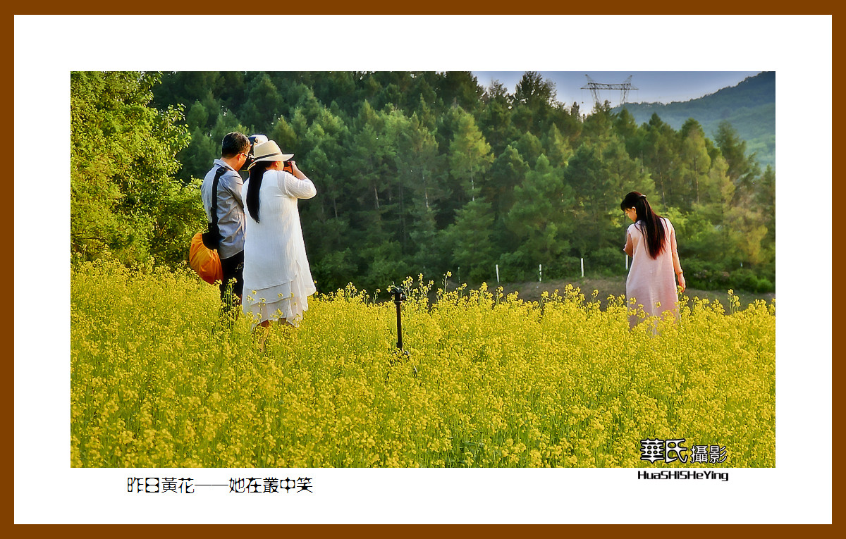 美色辽宁——昨日黄花，她在丛中笑之四（辽阳弓长岭汤河）